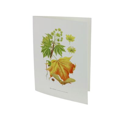 Greeting card Salary