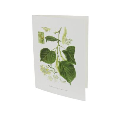 Greeting card Parklind