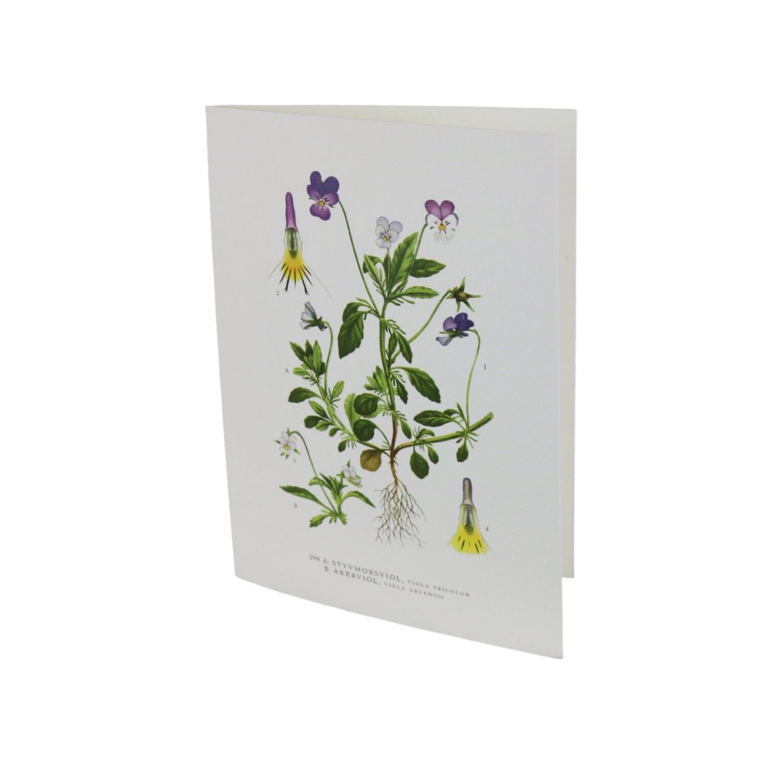 Grußkarte Stiefmutter Violet