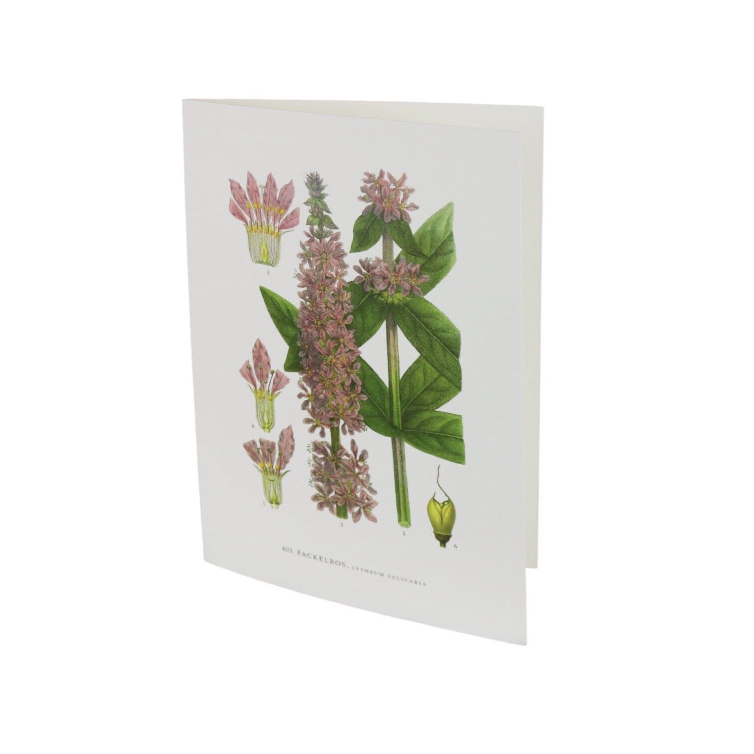 Grußkarte Fackel stieg