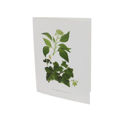 Greeting card Ivy