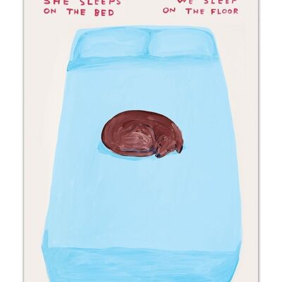 Postcard - Funny A6 Print - She Sleeps On The Bed