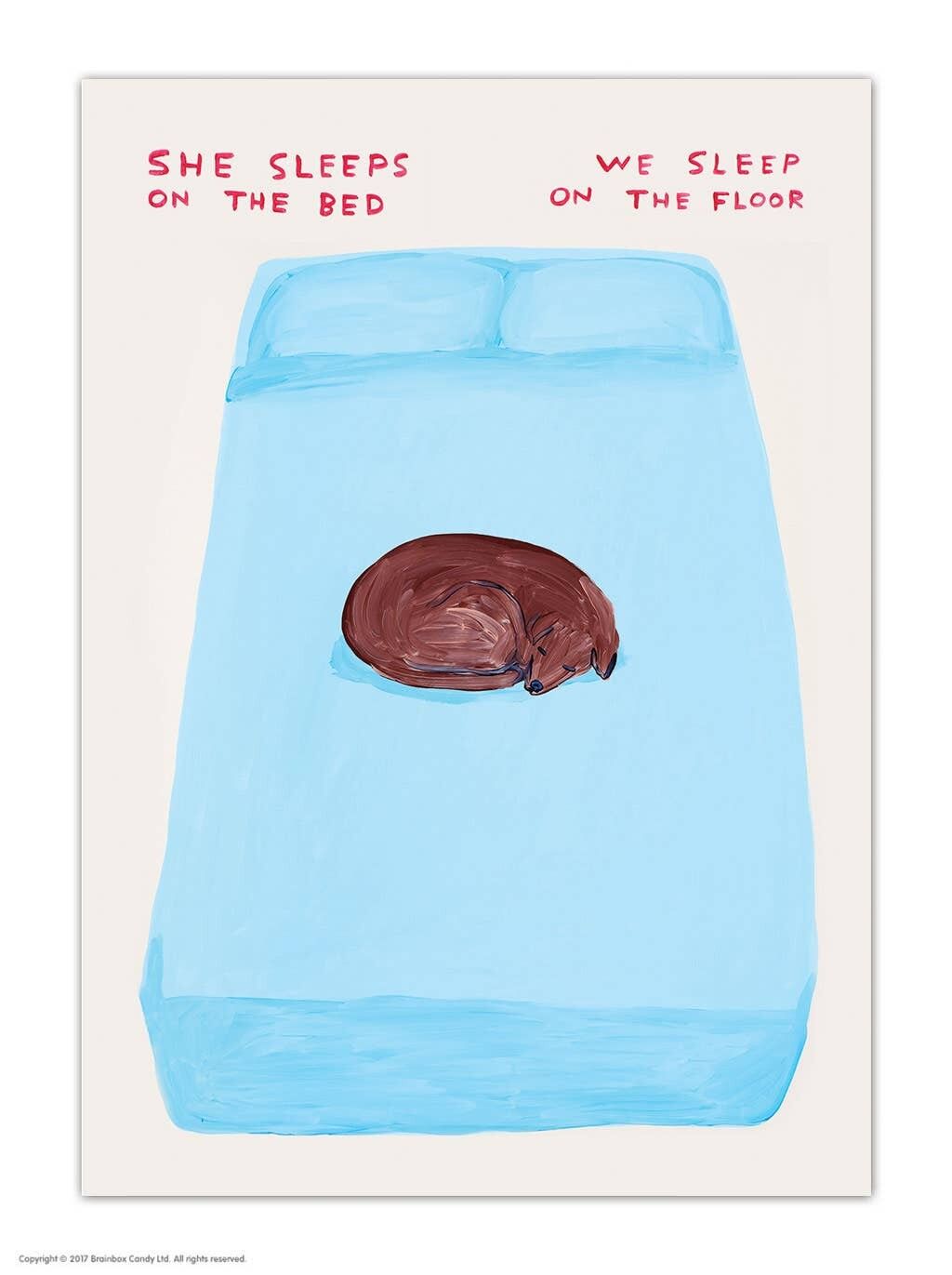 Postcard - Funny A6 Print - She Sleeps On The Bed