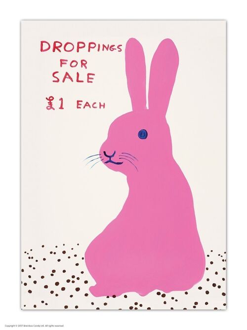 Postcard - Funny A6 Print - Droppings For Sale