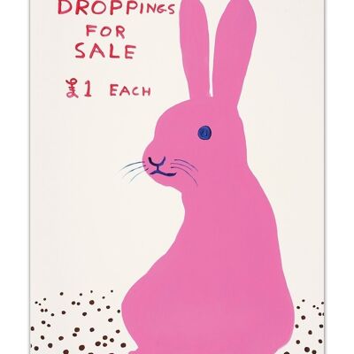 Postcard - Funny A6 Print - Droppings For Sale