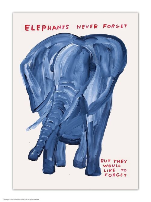 Postcard - Funny A6 Print - Elephants Never Forget