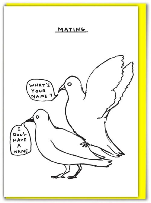 Birthday Card - Funny Everyday Card - Mating Pigeons