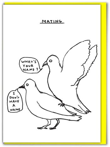 Carte d'anniversaire - Carte drôle de tous les jours - Accouplement de pigeons 1