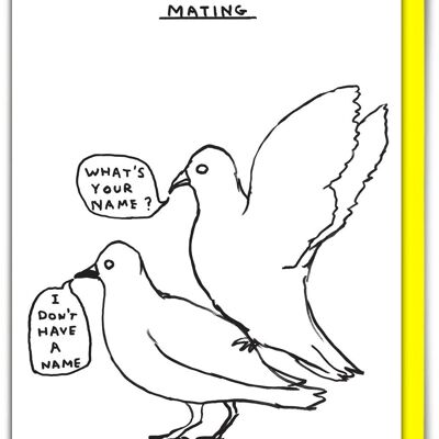 Birthday Card - Funny Everyday Card - Mating Pigeons