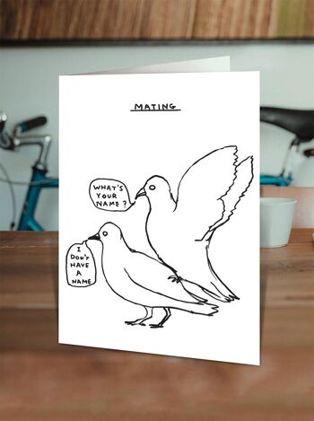Carte d'anniversaire - Carte drôle de tous les jours - Accouplement de pigeons 2