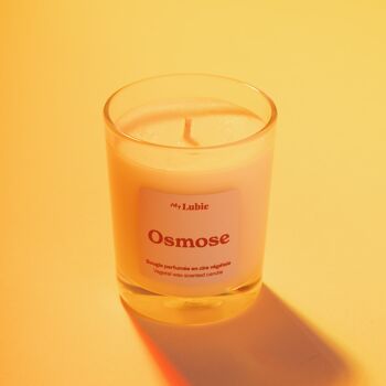 Osmose - Bougie parfumée aux notes de fleur d’oranger, de cèdre et de santal 3