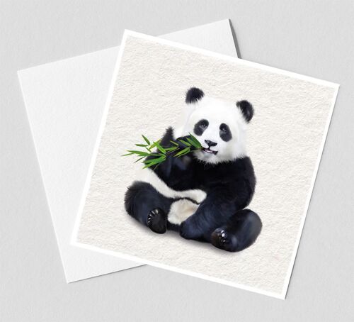 Wenskaart Panda