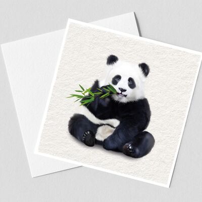 Tarjeta de Felicitación Panda