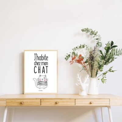 Poster I live with my cat framed - 30x40cm (with frame) - Made in France