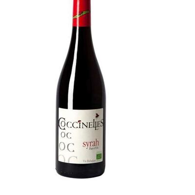 Coccinelles Syrah 2023 IGP Pays d'Oc