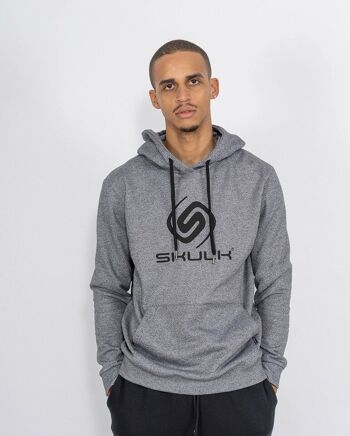 Sweat à capuche Logo Gris avec Noir 1