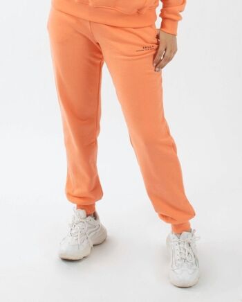 Jogging Basique Orange 1 1
