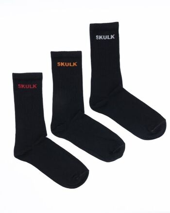 Chaussettes Skulk Pack 2