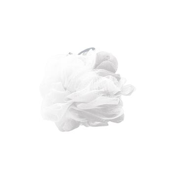Fleurs de douche coloris Blanc