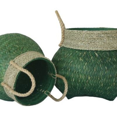 Tarros almacenaje y decoración bambú verde con cuerda S2