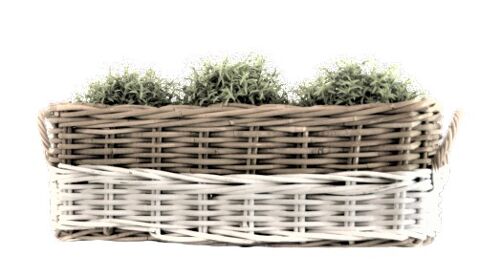 Mono elongated plant basket