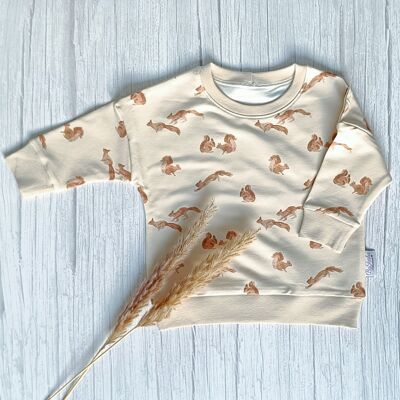 Dolman Sweater Squirrel