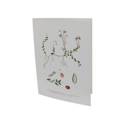 Greeting card Cranberry