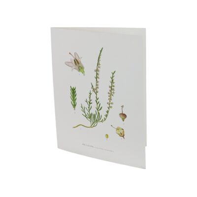 tarjeta de felicitación brezo