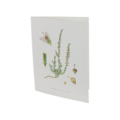 Carte de voeux Heather