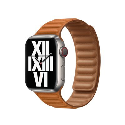 Bracelet à maillons magnétiques pour Apple Watch 38/40 et 41mm - Marron