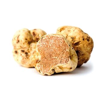 Truffe Blanche Alba 100 g - Tuber Magnatum Pico 1