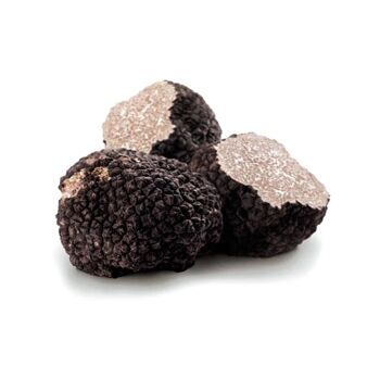 Truffe Noire Bourgogne 100 g - Tuber Uncinatum 1