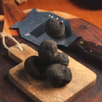 Truffe Noire Bourgogne 100 g - Tuber Uncinatum 4