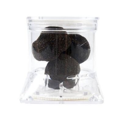 Black Truffle 40 g in Professional Tuber Pack