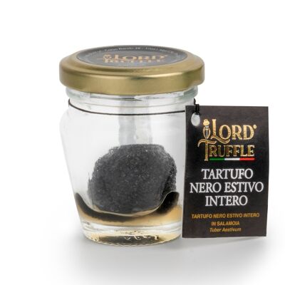 Whole Black Summer Truffle 17g