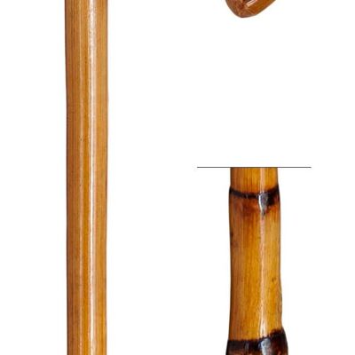 Canna con esclusivo legno curvato di Rattan molto resistente