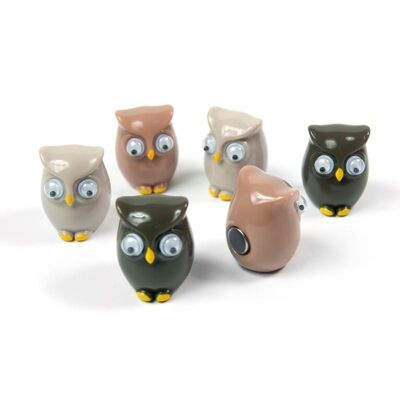 OWL MAGNETS