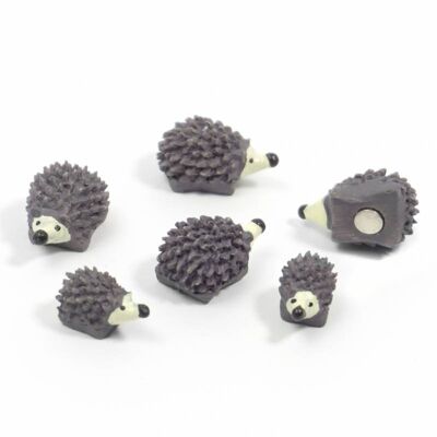 Hedgehog magnets - nature - countryside - garden