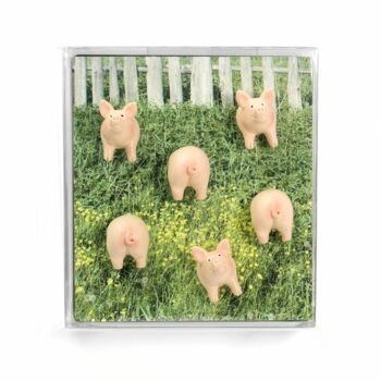 Aimants piggy - petits cochons 2