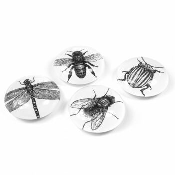 Aimants EYE Bug - insectes 1