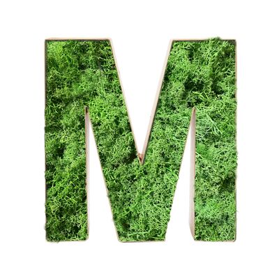 Stadtliebe® | Decoración del hogar de la letra "M" de musgo 3D