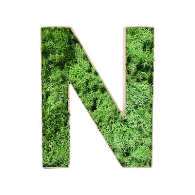 Stadtliebe® | 3D moss letter "N" home decoration
