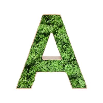 Stadtliebe® | 3D moss letter "A" home decoration