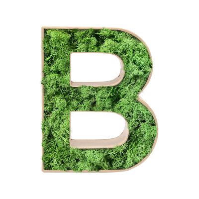 Stadtliebe® | 3D moss letter "B" home decoration