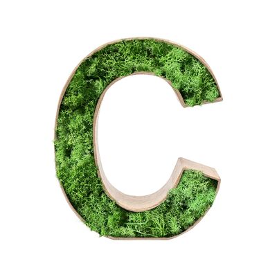 Stadtliebe® | 3D moss letter "C" home decoration