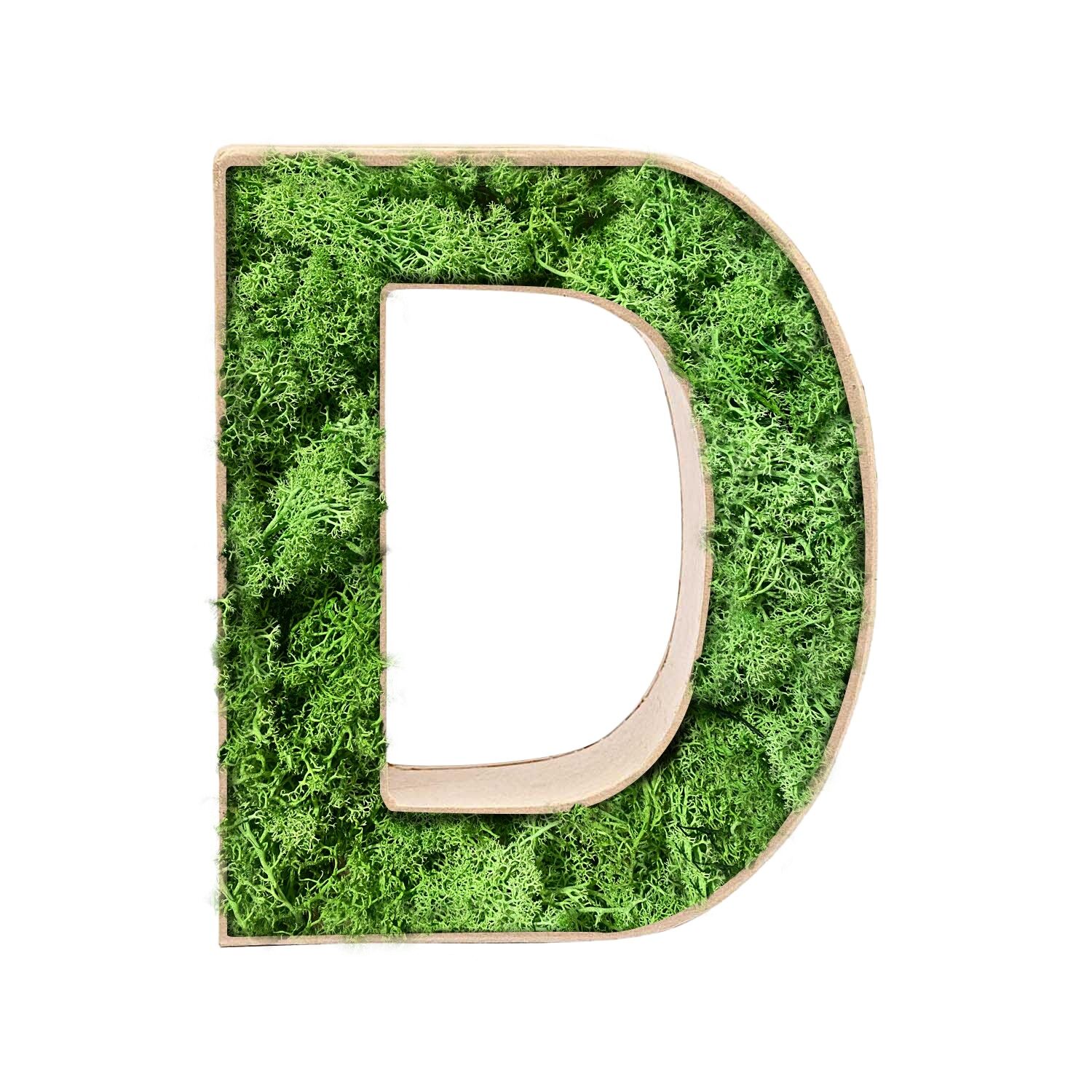 Stadtliebe® | Decoración del hogar de la letra "D" de musgo 3D
