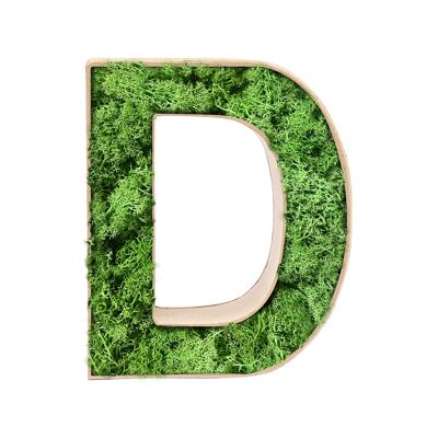 Stadtliebe® | 3D moss letter "D" home decoration