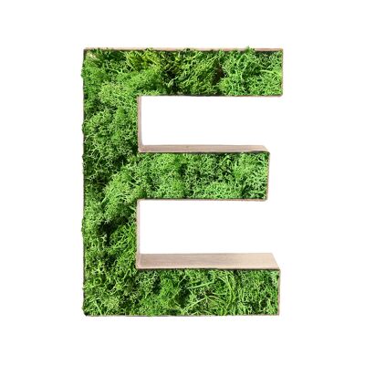Stadtliebe® | 3D moss letter "E" home decoration