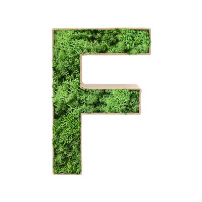 Stadtliebe® | 3D moss letter "F" home decoration