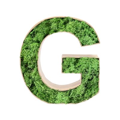 Stadtliebe® | 3D moss letter "G" home decoration